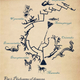 Illustration for article titled The evolutionary history of dragons, illustrated by a scientist